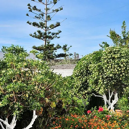 招待所 迪米特拉膳食公寓 Mykonos Town