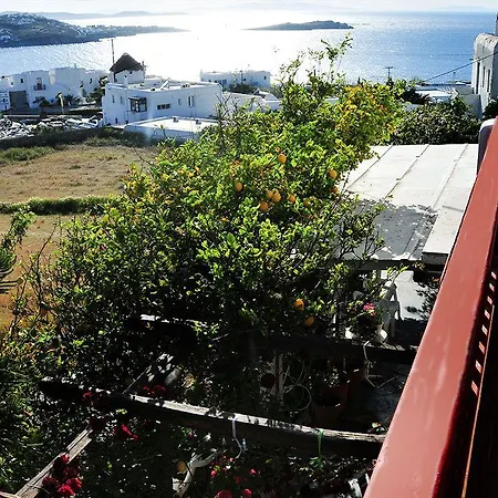 迪米特拉膳食公寓